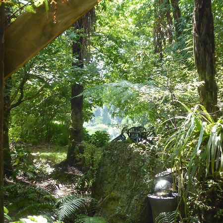 Mount Tutu Eco-Sanctuary Bed & Breakfast Ohauiti Exterior photo